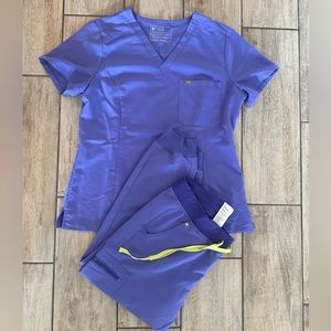 FIGS Blueberry scrub set